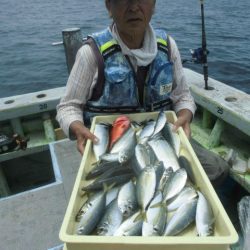 大進丸（愛知） 釣果