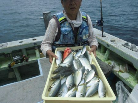 大進丸（愛知） 釣果
