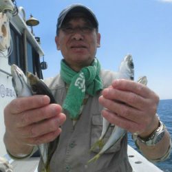 大進丸（愛知） 釣果