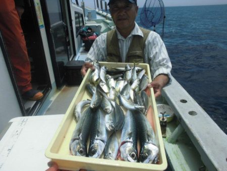 大進丸（愛知） 釣果