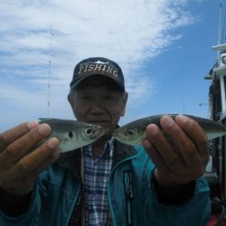 大進丸（愛知） 釣果