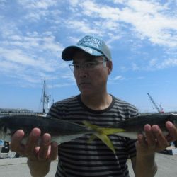 大進丸（愛知） 釣果