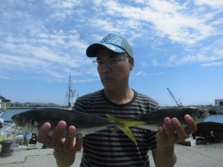 大進丸（愛知） 釣果