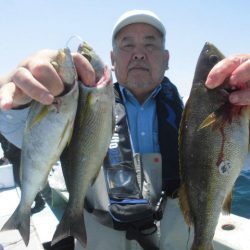 大進丸（愛知） 釣果