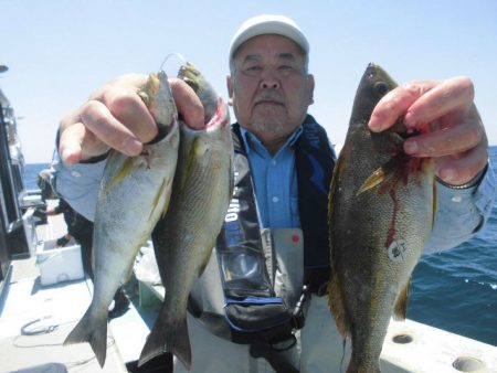 大進丸（愛知） 釣果