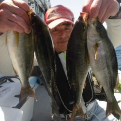 大進丸（愛知） 釣果