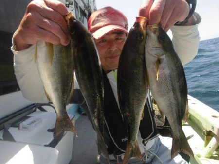 大進丸（愛知） 釣果