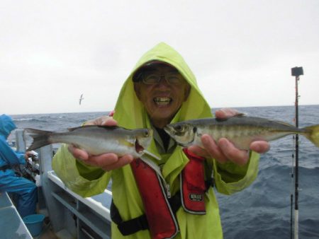 大進丸（愛知） 釣果