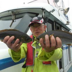 大進丸（愛知） 釣果