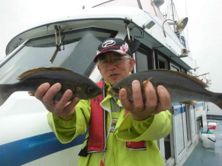 大進丸（愛知） 釣果