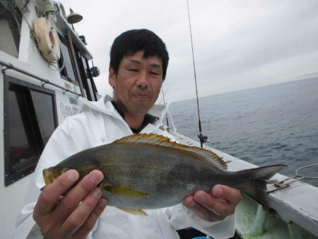 大進丸（愛知） 釣果