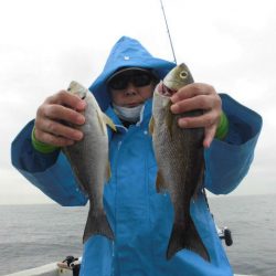 大進丸（愛知） 釣果