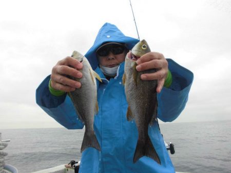 大進丸（愛知） 釣果