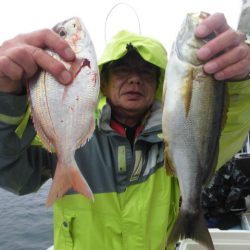 大進丸（愛知） 釣果