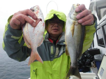 大進丸（愛知） 釣果