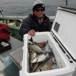 大進丸（愛知） 釣果