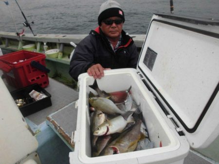 大進丸（愛知） 釣果