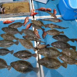 十八宝洋丸 釣果