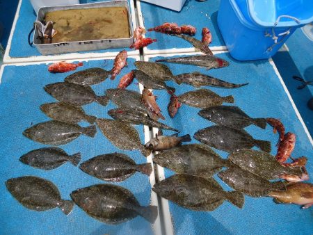 十八宝洋丸 釣果