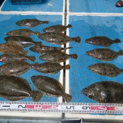 十八宝洋丸 釣果