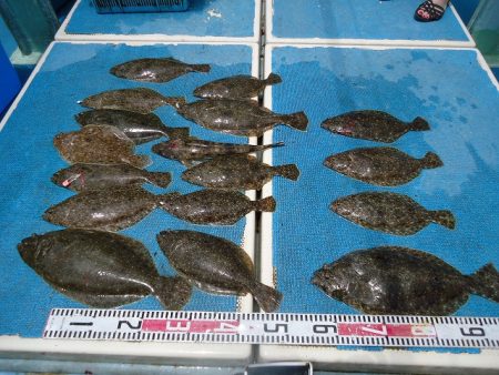 十八宝洋丸 釣果