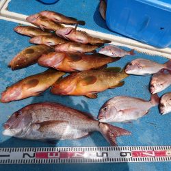 十八宝洋丸 釣果