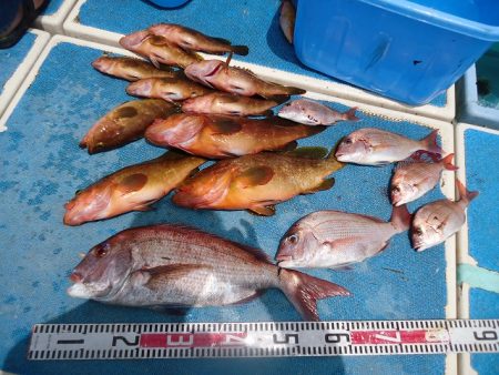 十八宝洋丸 釣果