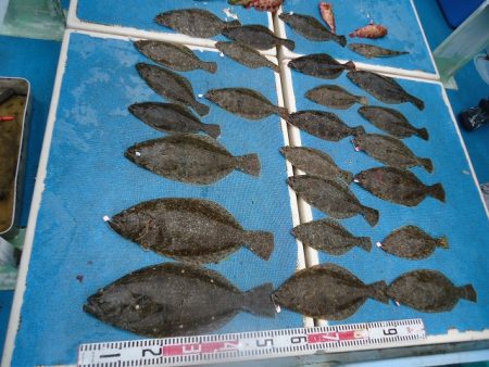 十八宝洋丸 釣果