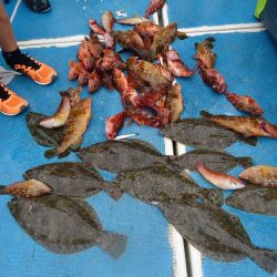 十八宝洋丸 釣果