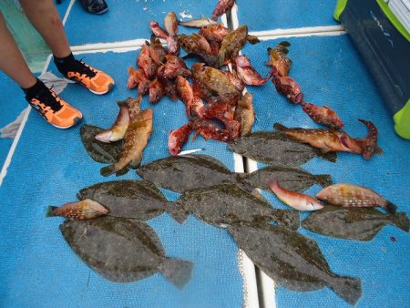 十八宝洋丸 釣果