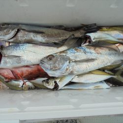 ＨＡＲＵＫＡ丸　はるかまる 釣果