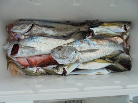 ＨＡＲＵＫＡ丸　はるかまる 釣果