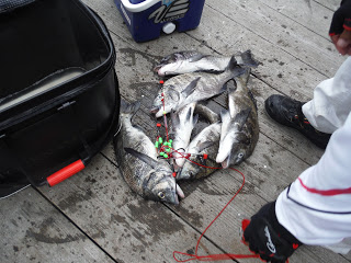 バラモン1号 釣果