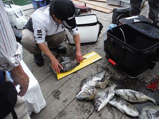 バラモン1号 釣果