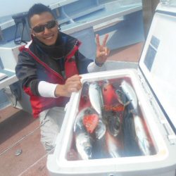 大進丸(愛知) 釣果