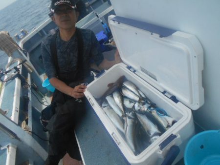 大進丸(愛知) 釣果