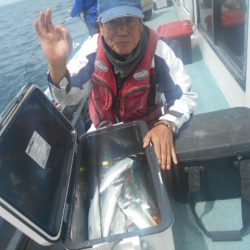 大進丸(愛知) 釣果