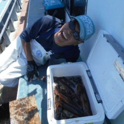 大進丸（愛知） 釣果