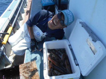 大進丸（愛知） 釣果