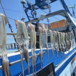 大進丸（愛知） 釣果