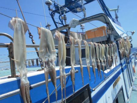 大進丸（愛知） 釣果