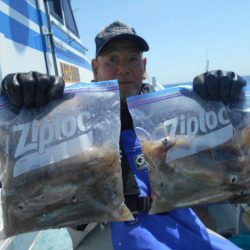 大進丸（愛知） 釣果