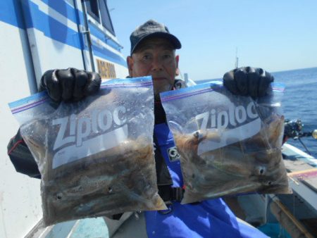 大進丸（愛知） 釣果