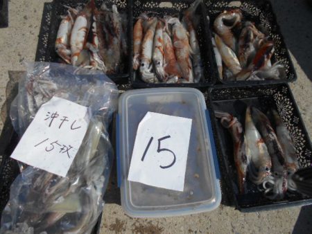 大進丸（愛知） 釣果