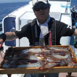 大進丸（愛知） 釣果