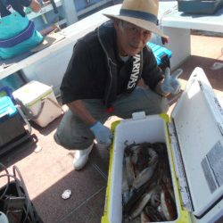 大進丸（愛知） 釣果