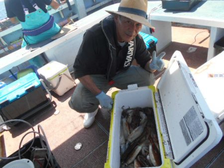 大進丸（愛知） 釣果