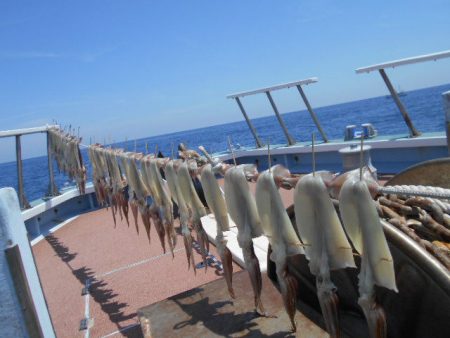 大進丸（愛知） 釣果