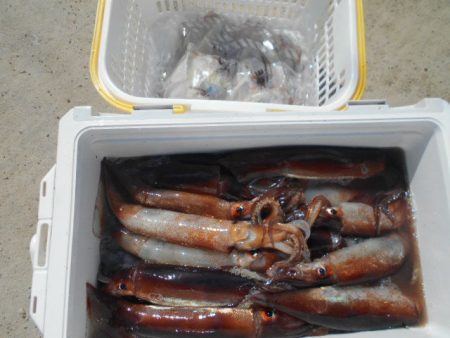 大進丸（愛知） 釣果