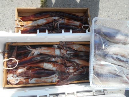 大進丸（愛知） 釣果